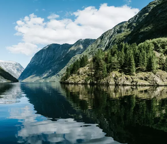 The Norwegian fjords
