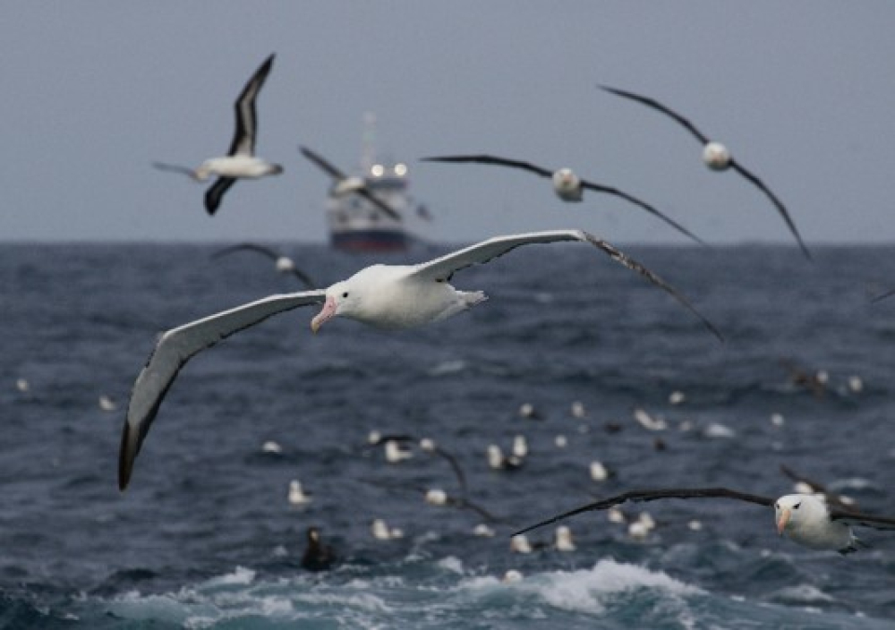 VOTRE VOYAGE EN MER