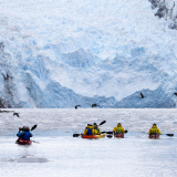<p>Les fjords chiliens et leurs glaciers monumentaux&nbsp;</p><p><br></p>