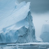 <p>Les icebergs et leurs formes uniques sculptées par la nature</p>