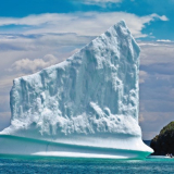 <p>La grandiose allée des icebergs à Terre-Neuve</p>